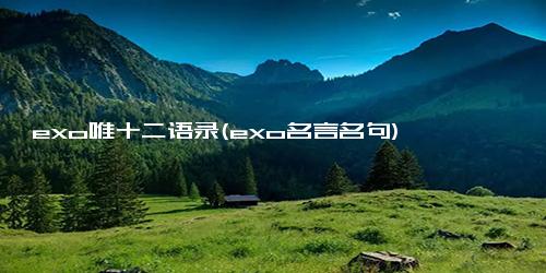 exo唯十二语录(exo名言名句)