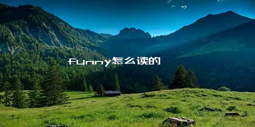 funny怎么读的