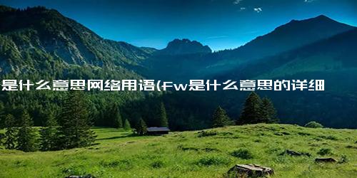 fw是什么意思网络用语(fw是什么意思的详细含义)