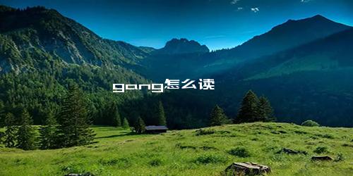 gang怎么读