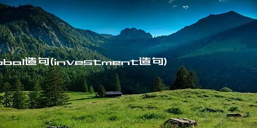 global造句(investment造句)