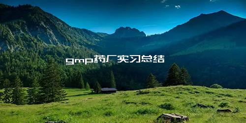 gmp药厂实习总结