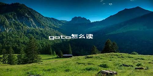 goto怎么读