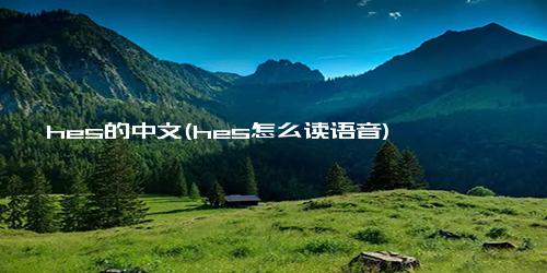 hes的中文(hes怎么读语音)