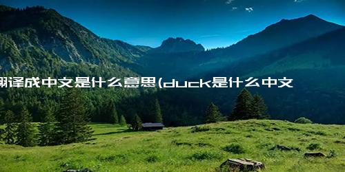 is翻译成中文是什么意思(duck是什么中文意思是什么)