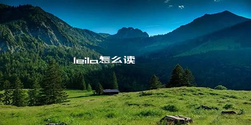 leila怎么读