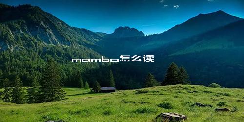 mambo怎么读