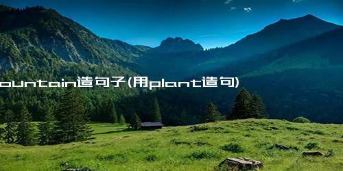 mountain造句子(用plant造句)