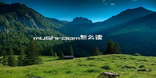 mushroom怎么读