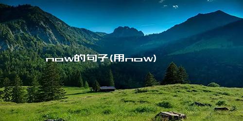 now的句子(用now)