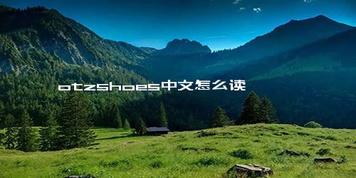 otzshoes中文怎么读