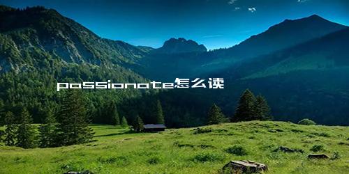 passionate怎么读