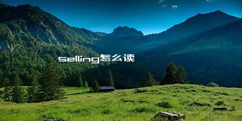 selling怎么读