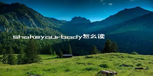 shakeyourbody怎么读