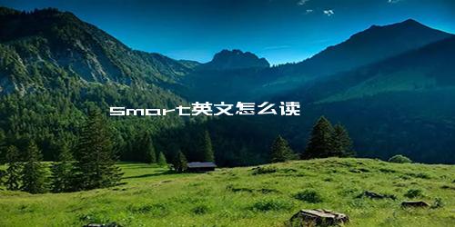 smart英文怎么读