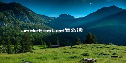 undefeated怎么读