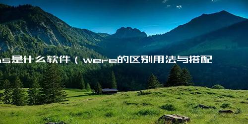 was是什么软件（were的区别用法与搭配一般过去时句子特征）