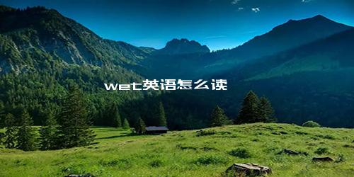 wet英语怎么读