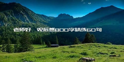 《老师好》观后感800字精练60句