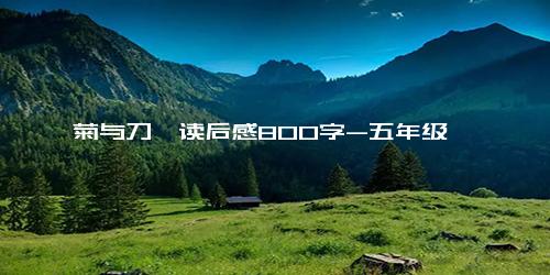 《菊与刀》读后感800字-五年级