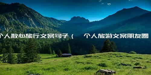 一个人散心旅行文案句子（一个人旅游文案朋友圈）.docx-免费下载(word版可打印)