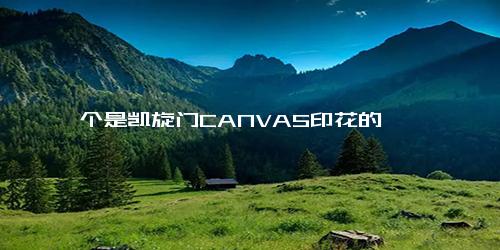 一个是凯旋门CANVAS印花的