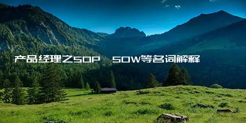 产品经理之SOP、SOW等名词解释