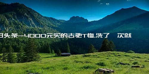 今日头条-4000元买的古驰T恤，洗了一次就褪色了？官方回应来了