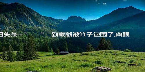 今日头条-“丫丫”一到家就被竹子包围了，肉眼可见地胖了！