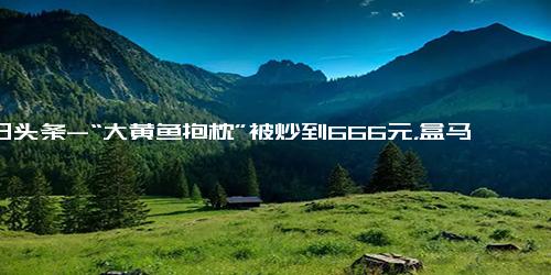 今日头条-“大黄鱼抱枕”被炒到666元，盒马回应