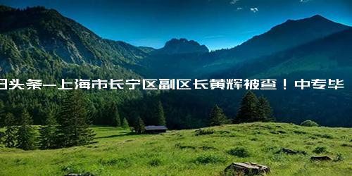 今日头条-上海市长宁区副区长黄辉被查！中专毕业后长期在公安系统工作