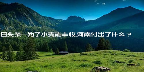 今日头条-为了小麦能丰收，河南付出了什么？