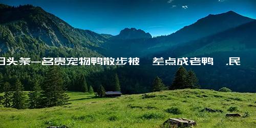 今日头条-名贵宠物鸭散步被掳差点成老鸭煲，民警在嫌疑人晚饭前将其抓获