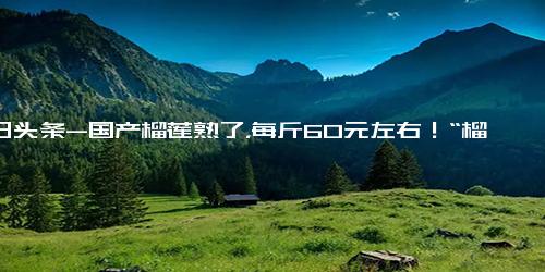 今日头条-国产榴莲熟了，每斤60元左右！“榴莲自由”还远吗？业内“以后可能实现”