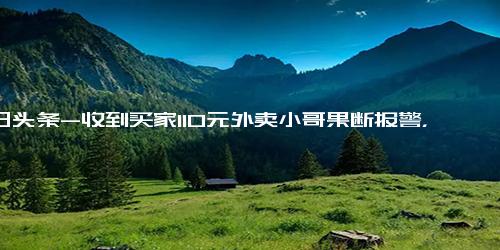 今日头条-收到买家110元外卖小哥果断报警，结局意外