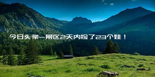 今日头条-景区2天内捡了23个娃！