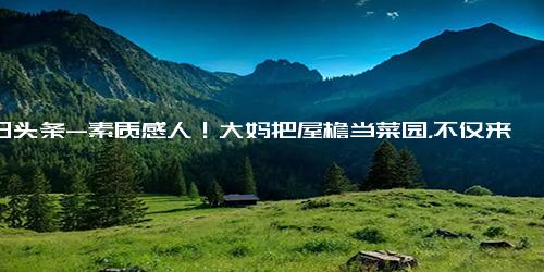 今日头条-素质感人！大妈把屋檐当菜园，不仅来回走动还频频高空抛物,社会,民生