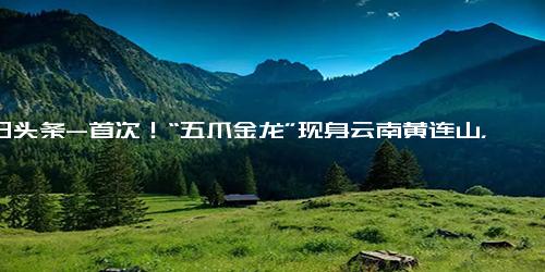 今日头条-首次！“五爪金龙”现身云南黄连山，唾液含毒，好斗凶猛，不怕人