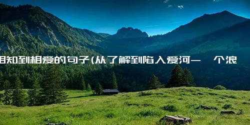 从相知到相爱的句子(从了解到陷入爱河-一个浪漫的爱情故事)