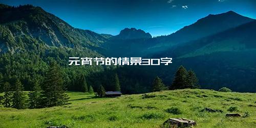 元宵节的情景30字