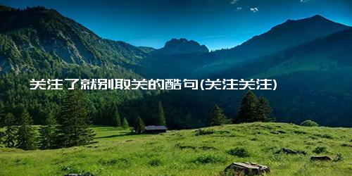 关注了就别取关的酷句(关注关注)