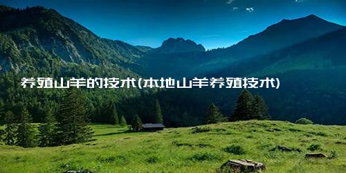 养殖山羊的技术(本地山羊养殖技术)