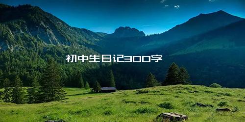 初中生日记300字