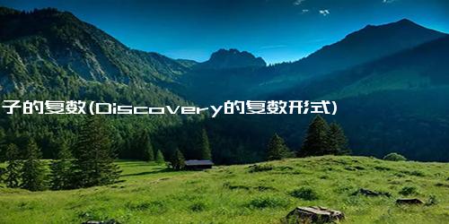 句子的复数(Discovery的复数形式)