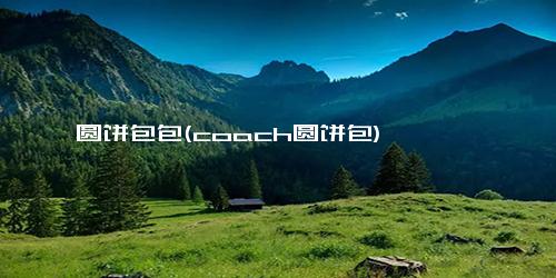 圆饼包包(coach圆饼包)