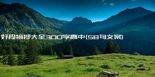 好段摘抄大全300字高中(58句文案)