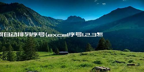 如何自动排列序号(excel序号1.2.3怎么自动生成)