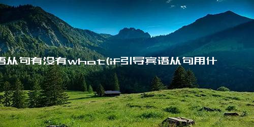 定语从句有没有what(if引导宾语从句用什么时态)