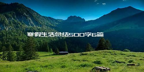 寒假生活总结500字6篇