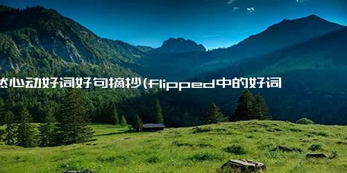 怦然心动好词好句摘抄(flipped中的好词佳句)